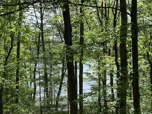 161 Barker Rd, Glen Spey, NY 12737 - water view with a forest