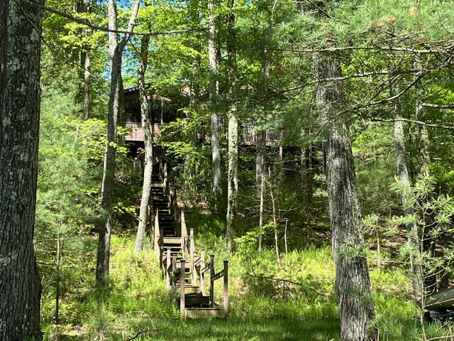 161 Barker Rd, Glen Spey, NY 12737 - view of woods