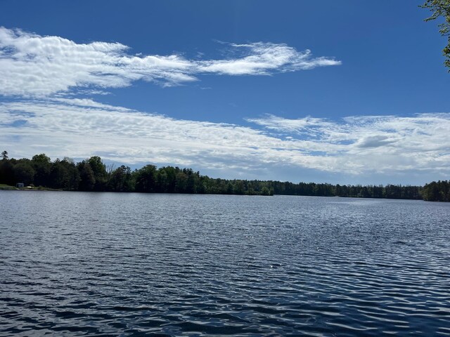 161 Barker Rd, Glen Spey, NY 12737 - water view