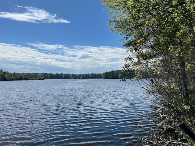 161 Barker Rd, Glen Spey, NY 12737 - water view with a forest