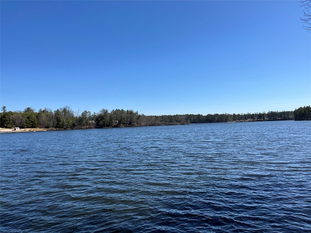 161 Barker Rd, Glen Spey, NY 12737 - water view