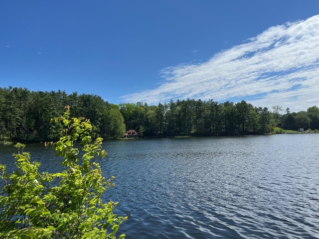 161 Barker Rd, Glen Spey, NY 12737 - water view featuring a forest