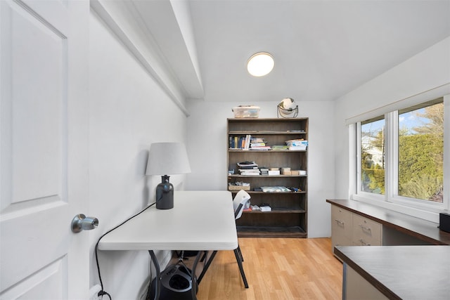 home office featuring light hardwood / wood-style flooring