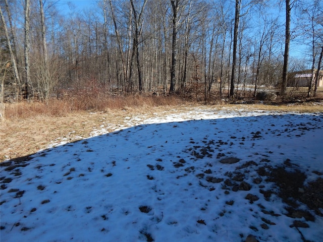 view of yard covered in snow