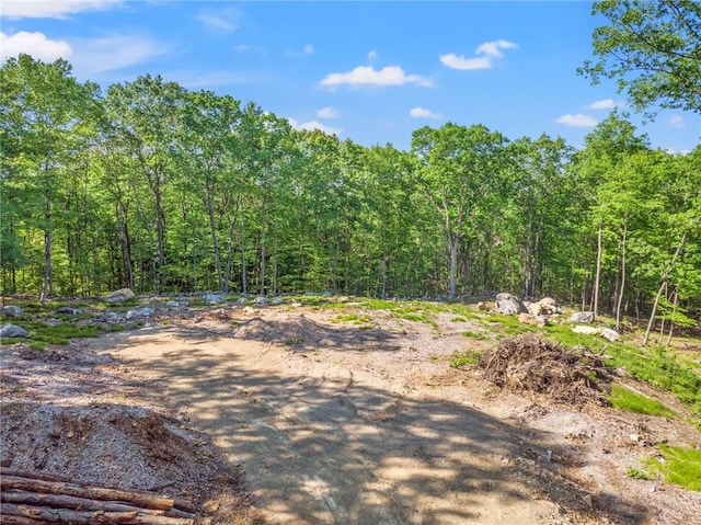 LOT5 S White Rock Rd, Holmes NY, 12531 land for sale