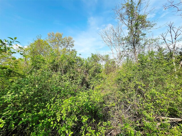 160 Tommy Trl, Coxsackie, NY 12051 - photo 5