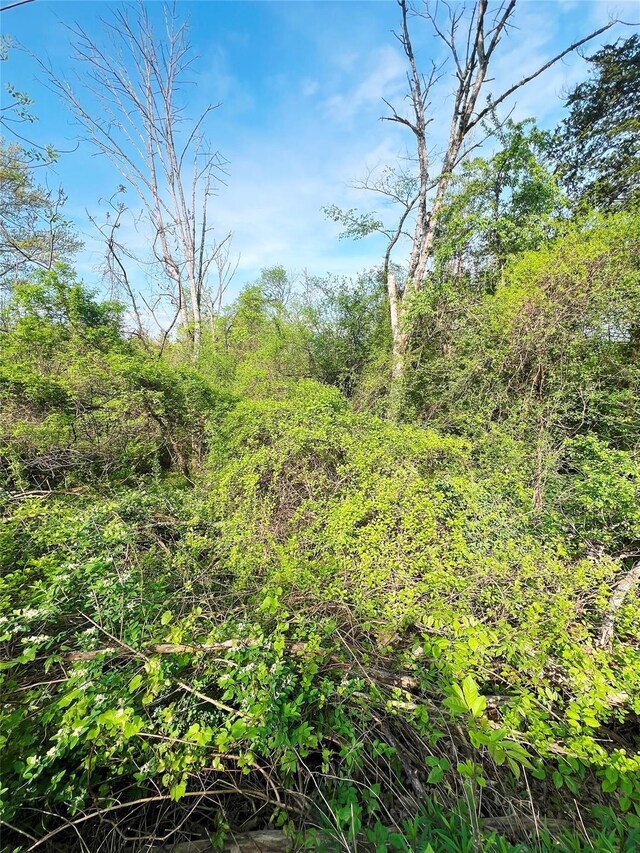 160 Tommy Trl, Coxsackie, NY 12051 - photo 6