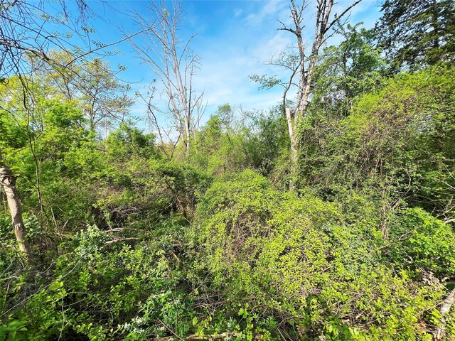 160 Tommy Trl, Coxsackie, NY 12051 - photo 7