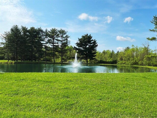 160 Tommy Trl, Coxsackie, NY 12051 - photo 13