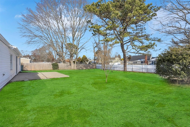 view of yard featuring a patio area