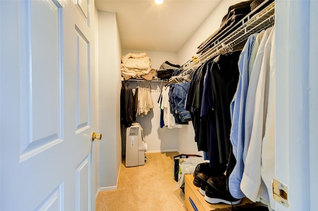 walk in closet with light colored carpet