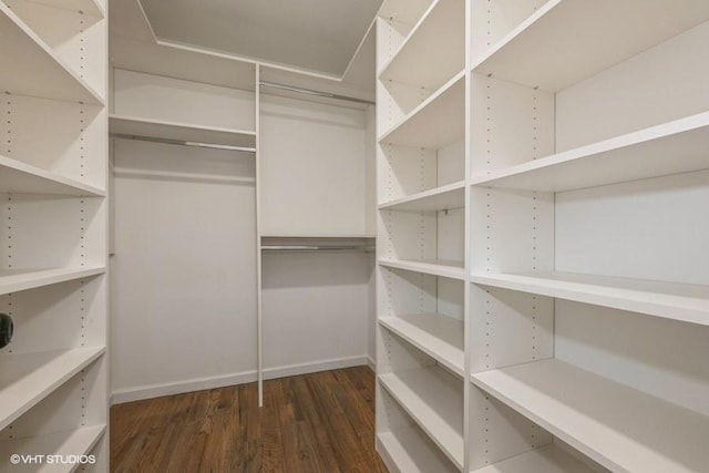 spacious closet featuring dark wood-type flooring