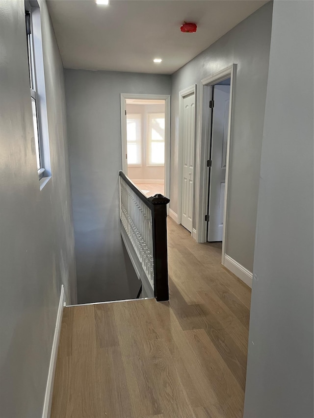 hallway with light hardwood / wood-style flooring and plenty of natural light