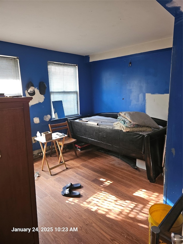 bedroom with wood-type flooring