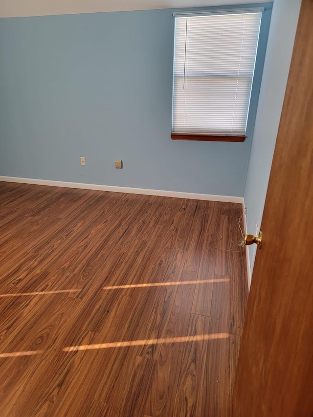 spare room featuring wood-type flooring