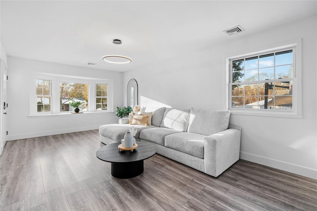 living room with hardwood / wood-style floors and a healthy amount of sunlight