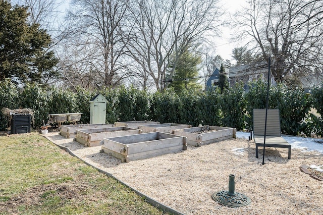 view of yard with a shed, a vegetable garden, and an outdoor structure