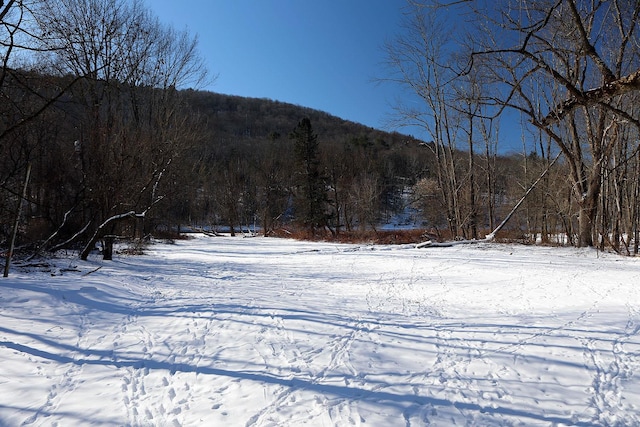 view of mountain feature