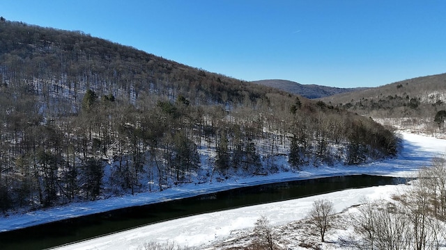 view of mountain feature with a water view