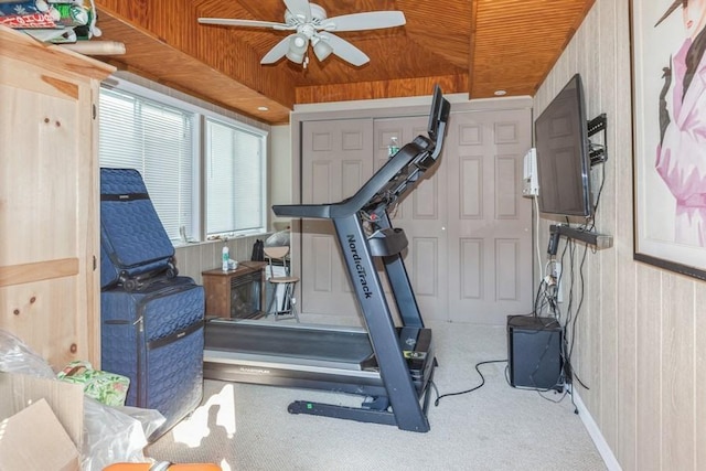 exercise area featuring ceiling fan, wooden walls, a tray ceiling, and carpet flooring