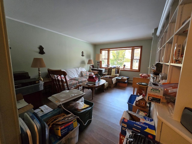 living room featuring dark wood-type flooring and ornamental molding