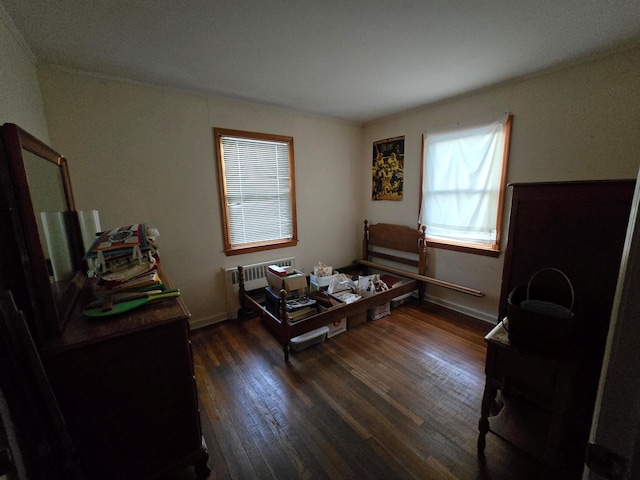 interior space with dark wood-type flooring and radiator