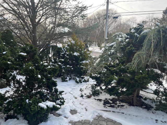 view of snowy landscape