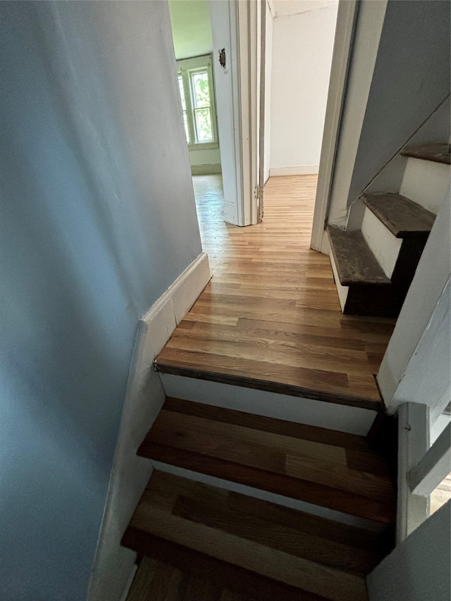 stairs featuring wood-type flooring