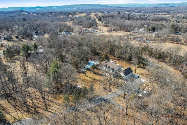 birds eye view of property featuring a mountain view