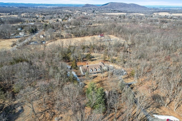 birds eye view of property featuring a mountain view