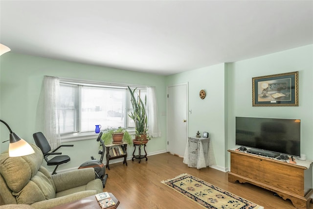 living room featuring light hardwood / wood-style floors