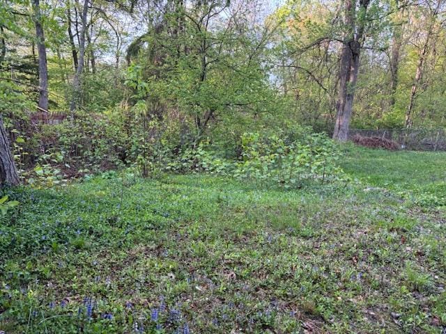 16 Stanton Trl, Monroe, NY 10950 - view of yard featuring a forest view