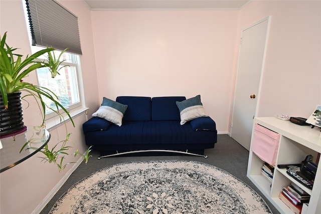 living room with crown molding and carpet flooring