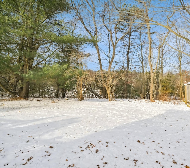 view of snowy yard