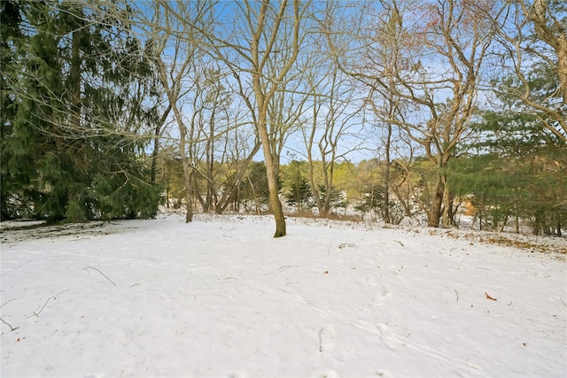 view of snow covered land