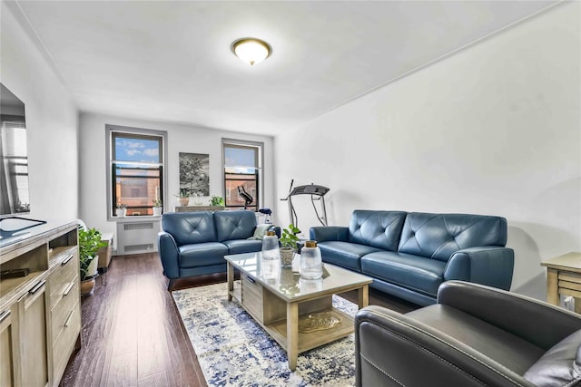 living room with radiator, dark wood-type flooring, and a healthy amount of sunlight