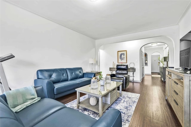 living room featuring dark wood-type flooring