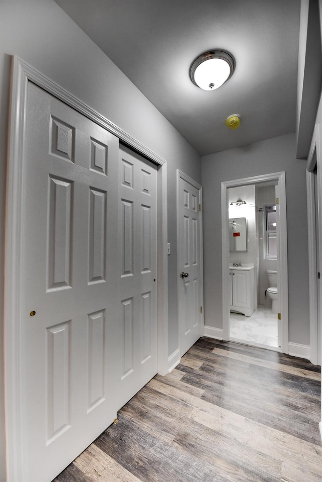 entrance foyer with wood-type flooring