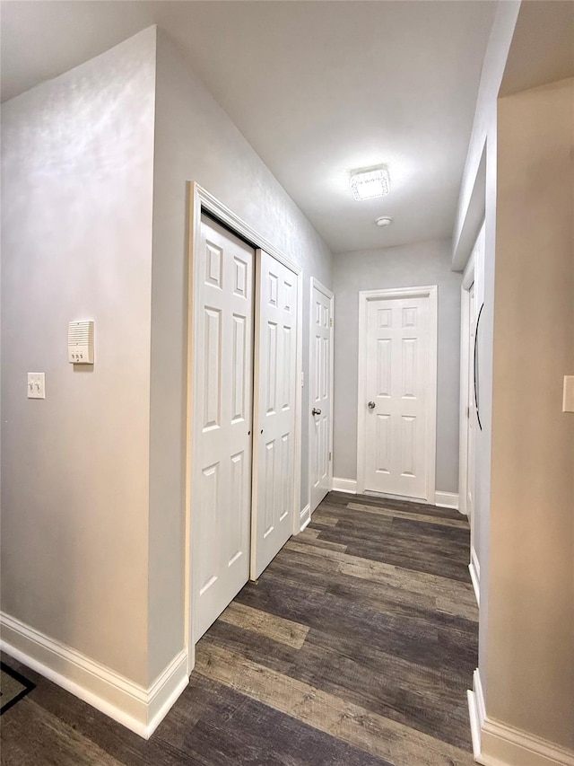 hallway featuring dark hardwood / wood-style floors