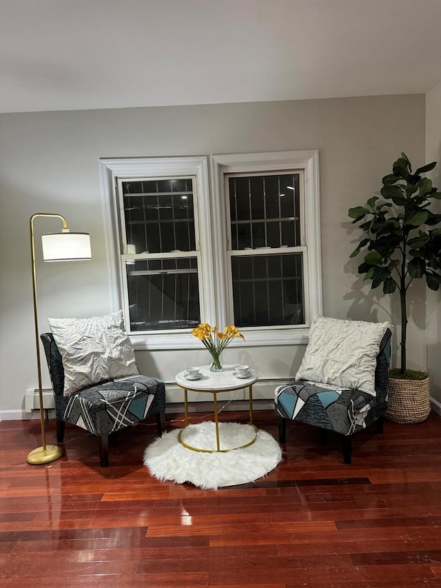 living area featuring a baseboard radiator and wood-type flooring