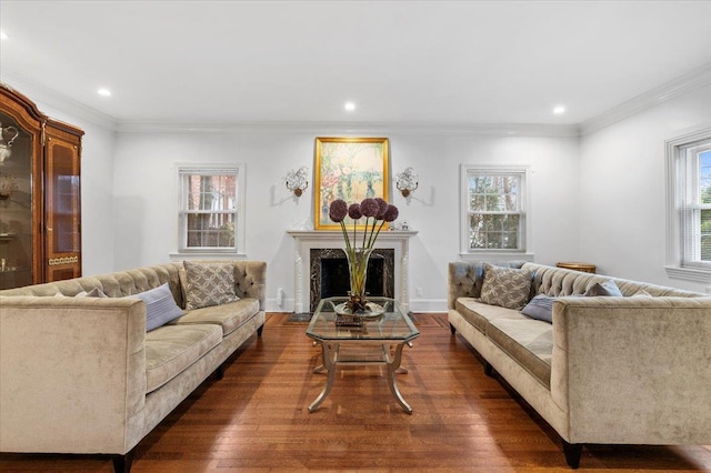 living room with crown molding and dark hardwood / wood-style floors