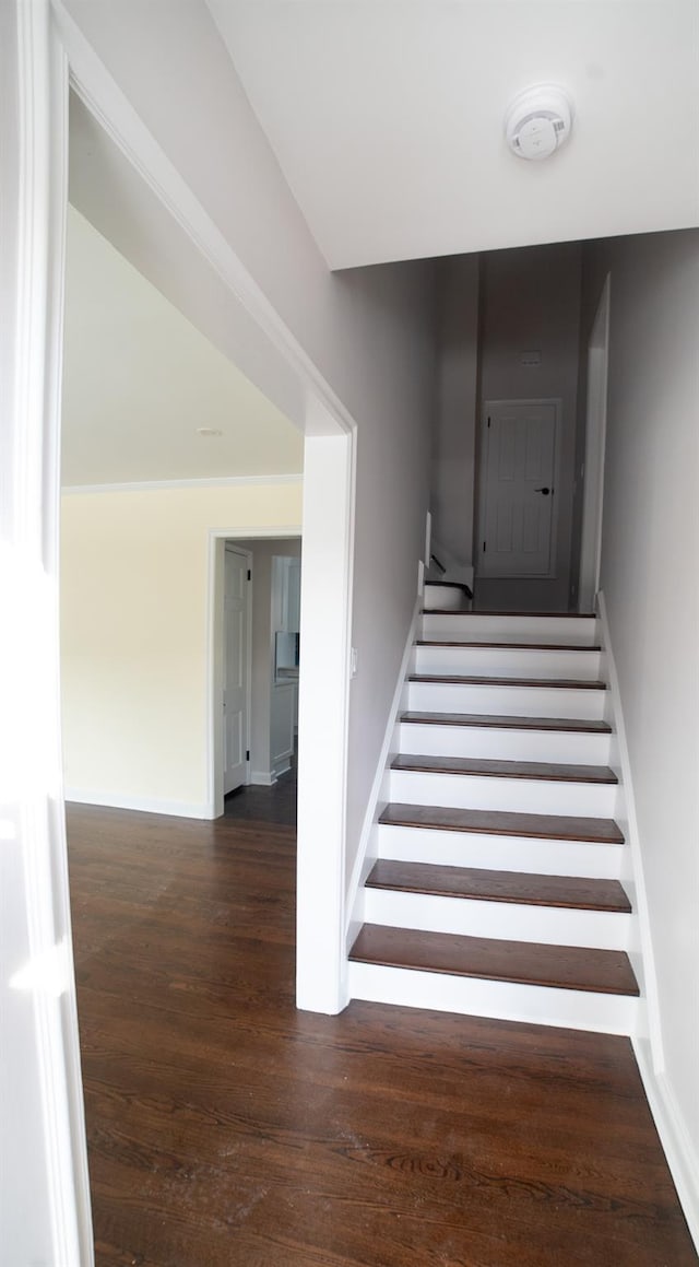 stairs featuring hardwood / wood-style floors