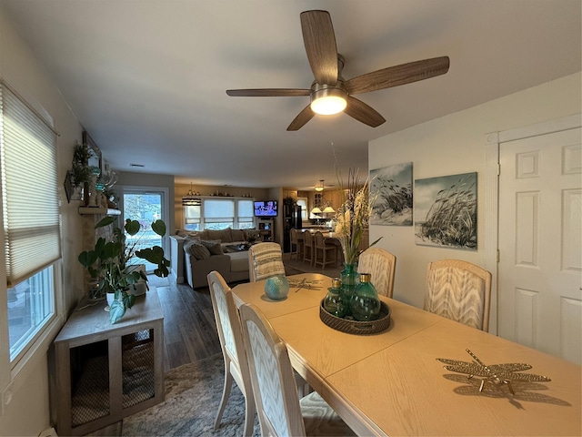 dining room with dark hardwood / wood-style floors