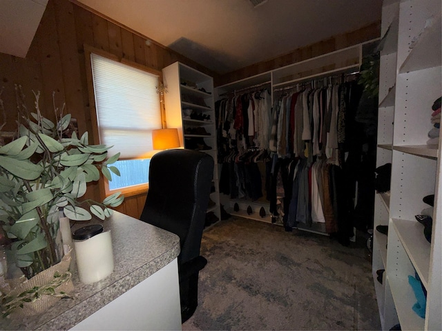 view of walk in closet