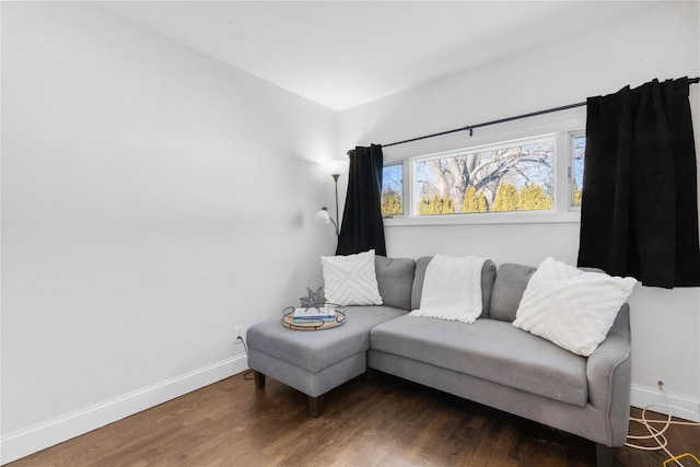 living room with hardwood / wood-style flooring