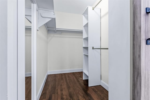 spacious closet featuring dark wood-type flooring