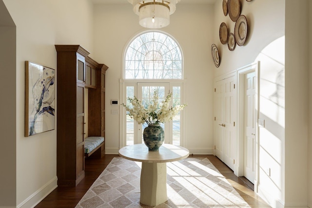 foyer with a towering ceiling and dark hardwood / wood-style flooring