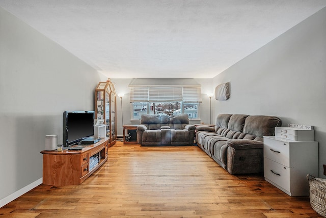 living room featuring light hardwood / wood-style flooring