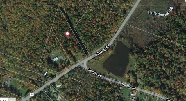 Listing photo 2 for Cooley Rd, Parksville NY 12768