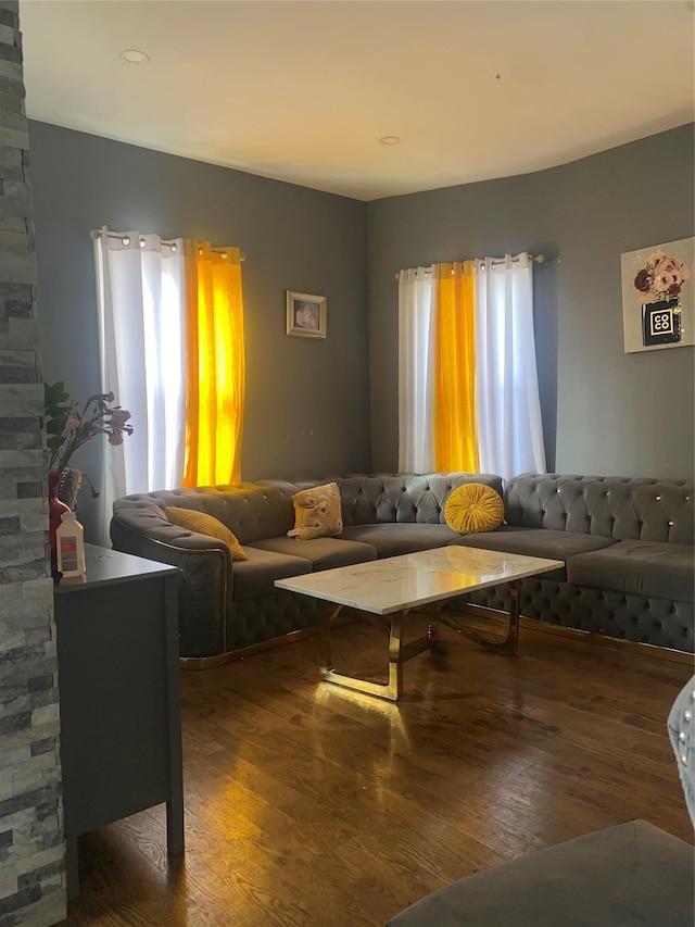 living room featuring dark hardwood / wood-style flooring